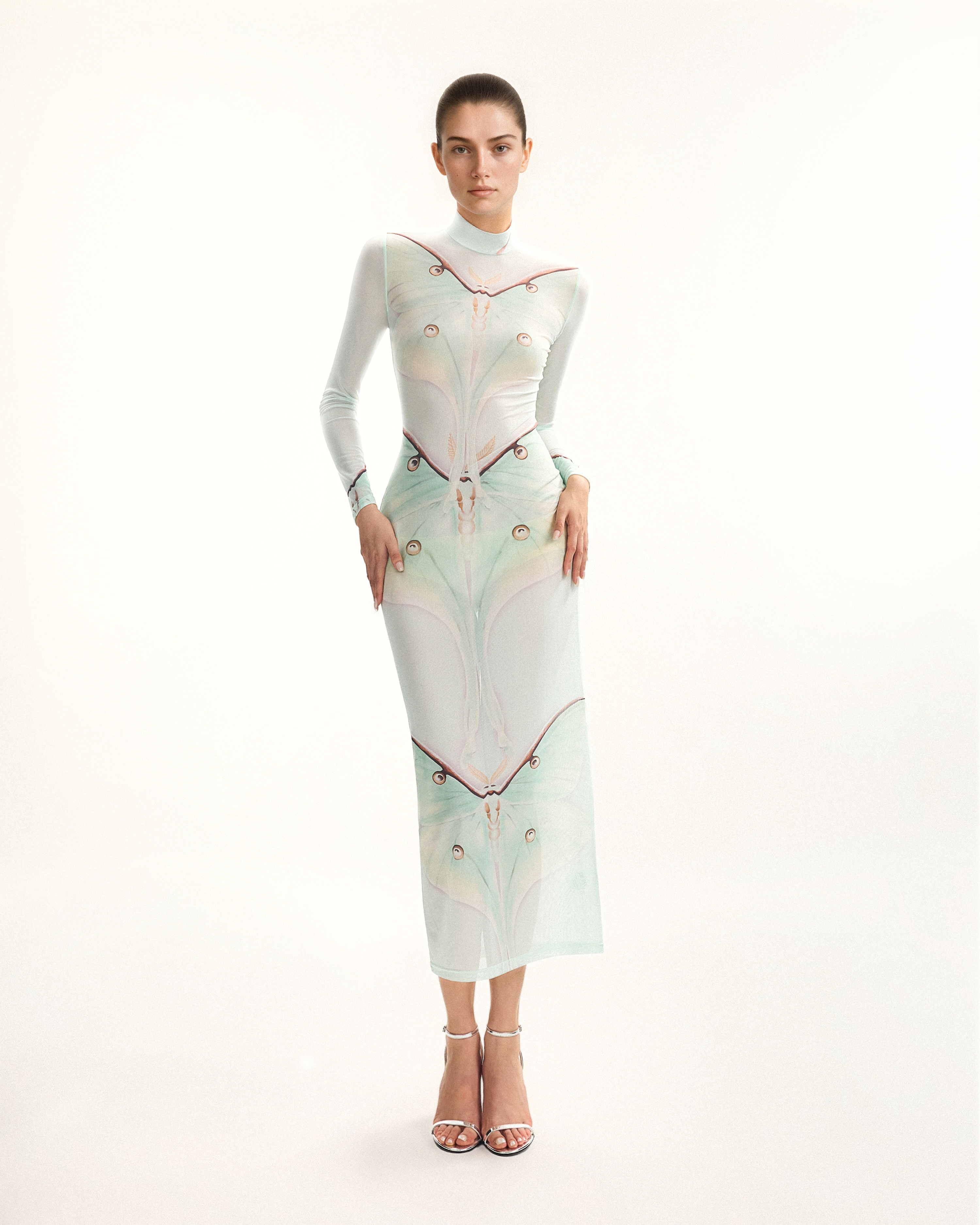 Moth Sheer Mesh Gown - Green/Beige